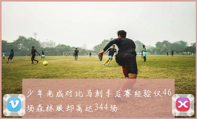 少年老成对比马刺季后赛经验仅46场森林狼却高达344场