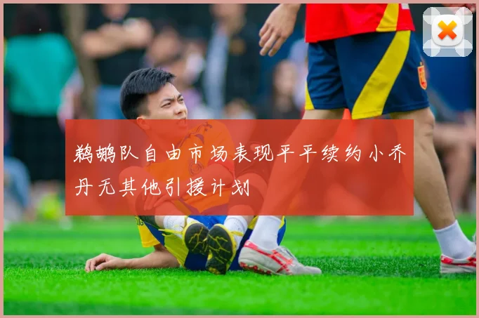鹈鹕队自由市场表现平平续约小乔丹无其他引援计划
